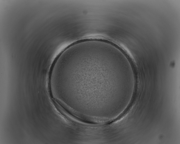 X0000094771277200711241309