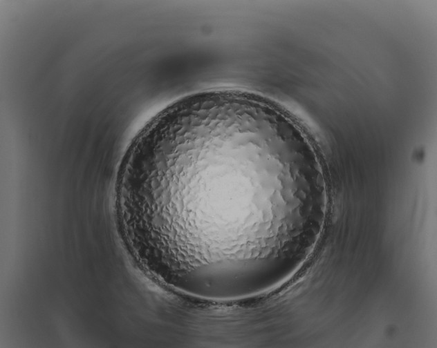 X0000094771279200711241309