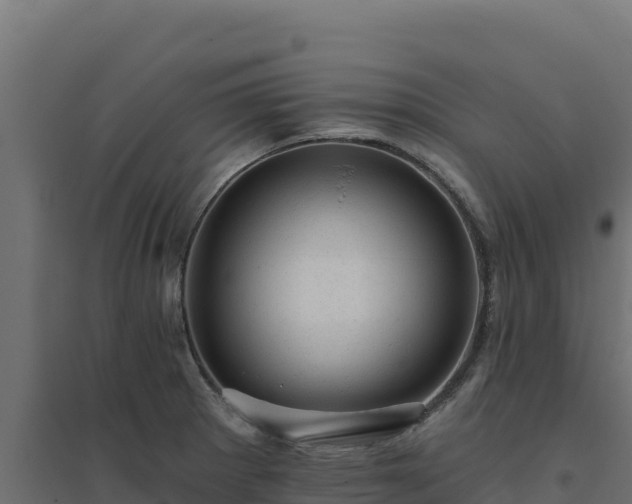 X0000094771281200711241309