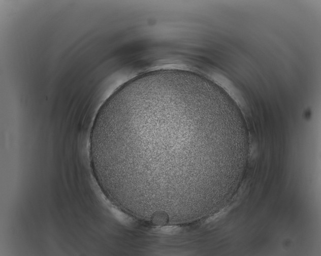 X0000094771282200711241309