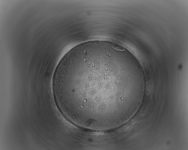 X0000094771283200711241309