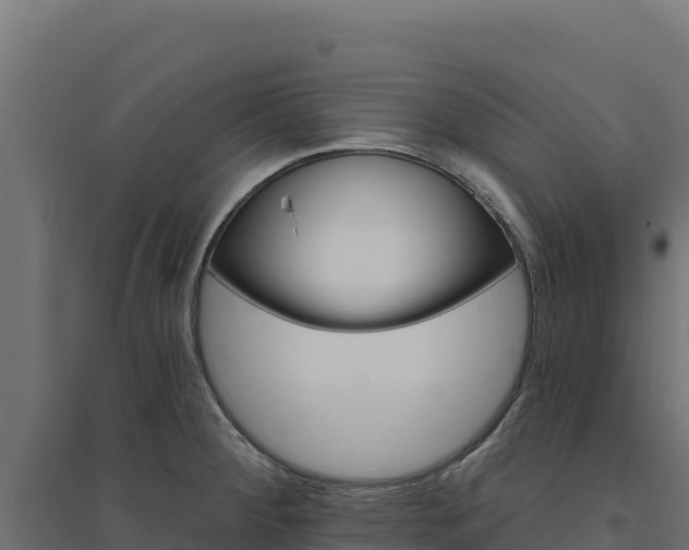 X0000094771284200711241309