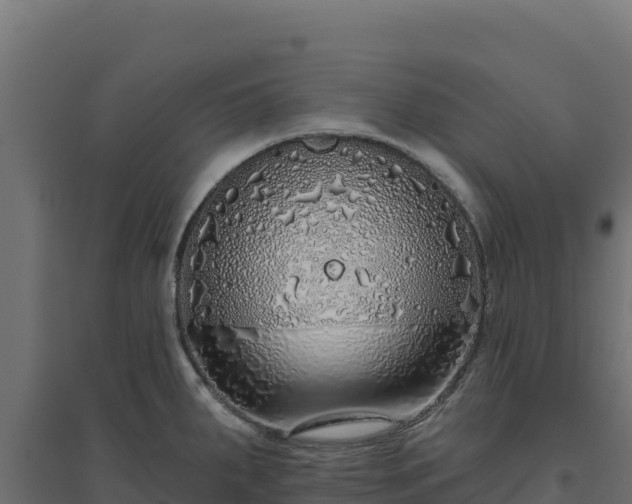 X0000094771287200711241309