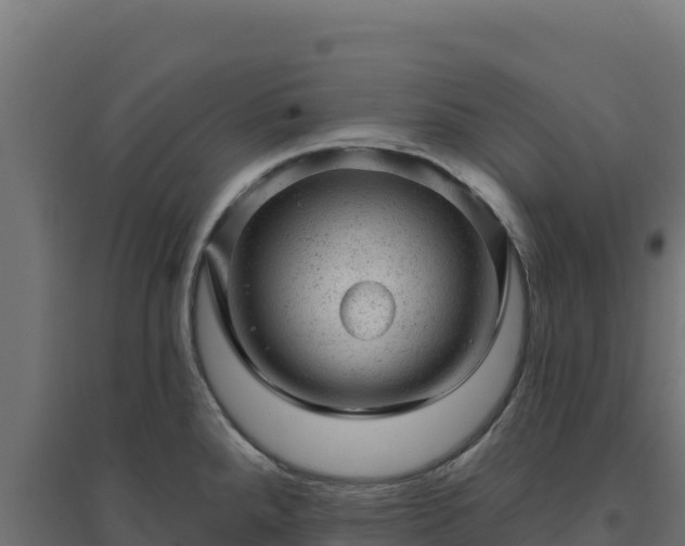 X0000094771288200711241309