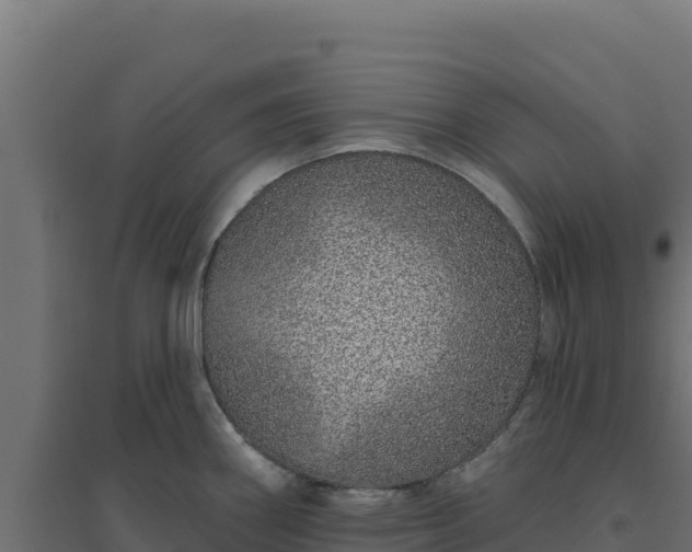 X0000094771290200711241308