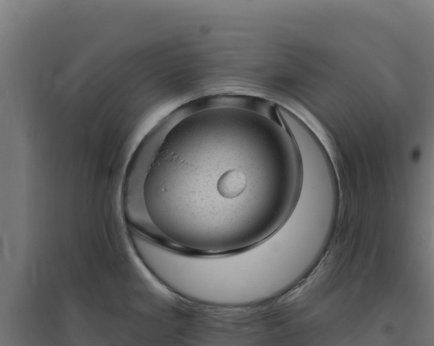 X0000094771293200711241308