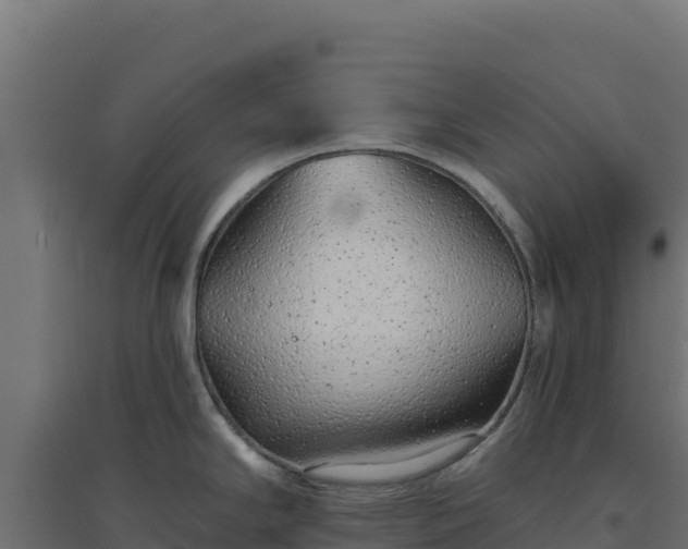 X0000094771294200711241308