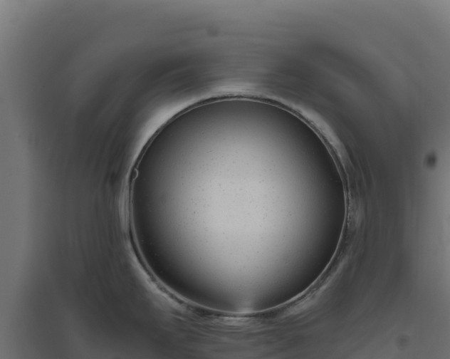 X0000094771295200711241308