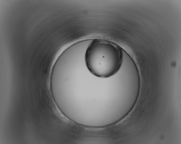 X0000094771296200711241308