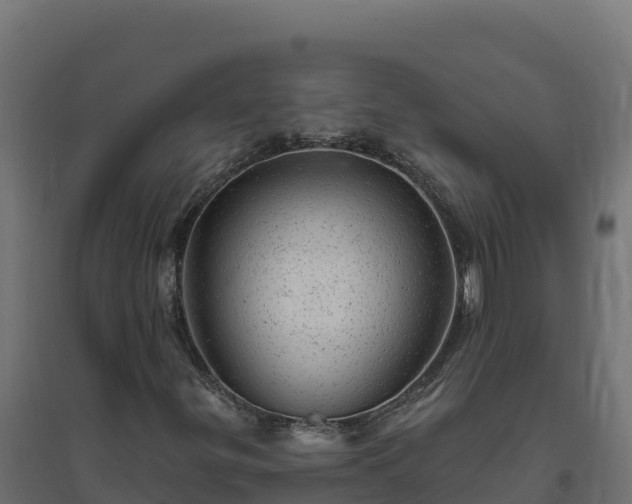 X0000094771299200711241308