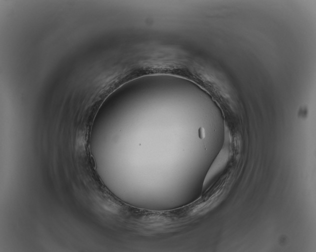 X0000094771300200711241308