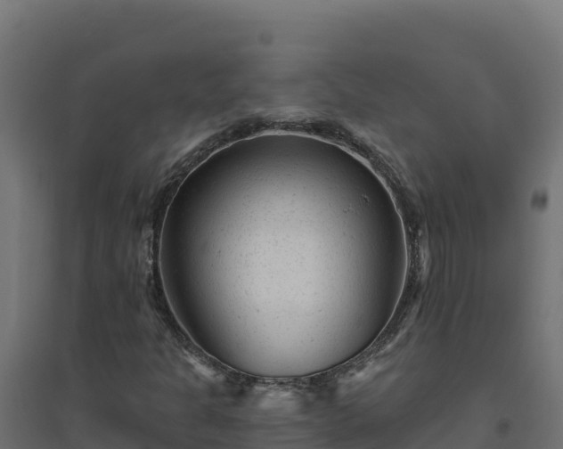 X0000094771301200711241308