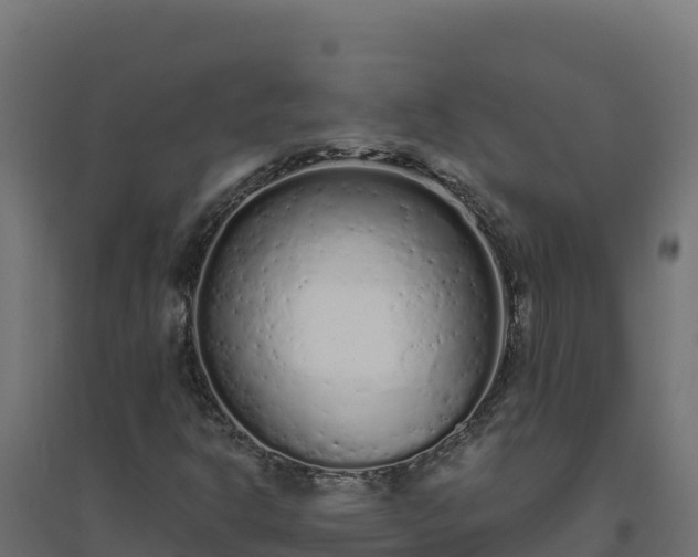 X0000094771302200711241308