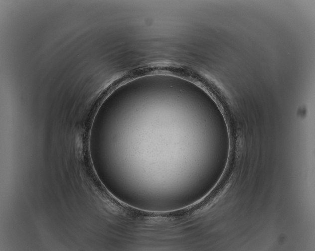 X0000094771305200711241308