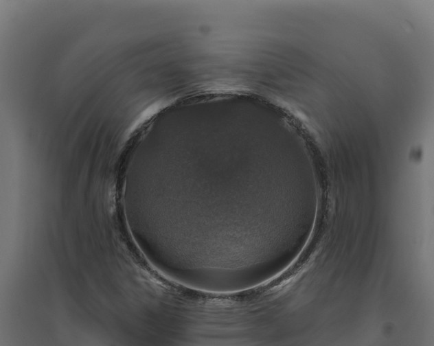 X0000094771306200711241308