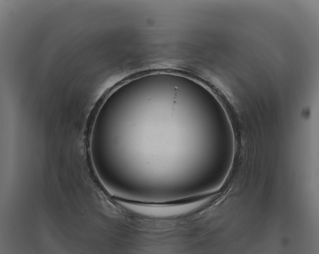 X0000094771308200711241308