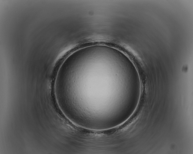 X0000094771309200711241308