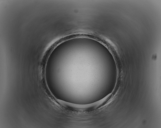 X0000094771310200711241308