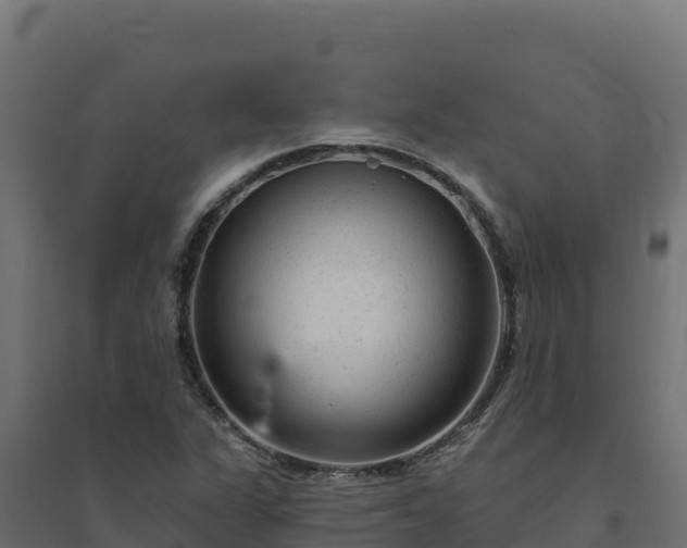 X0000094771311200711241308