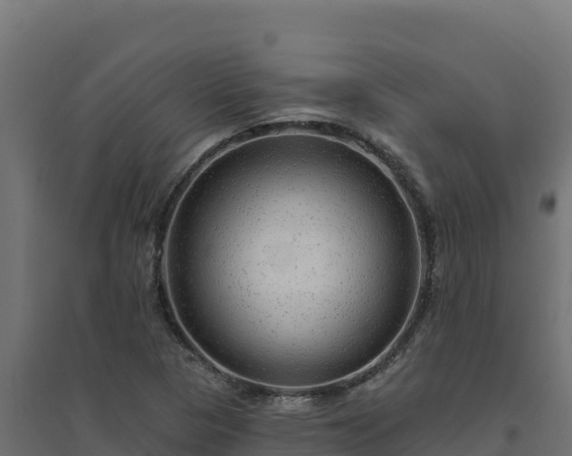 X0000094771313200711241308