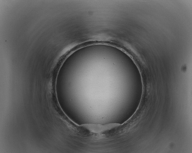 X0000094771315200711241308