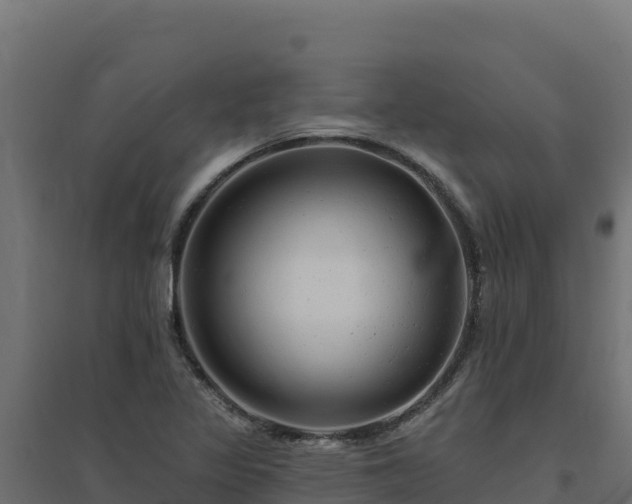 X0000094771317200711241308