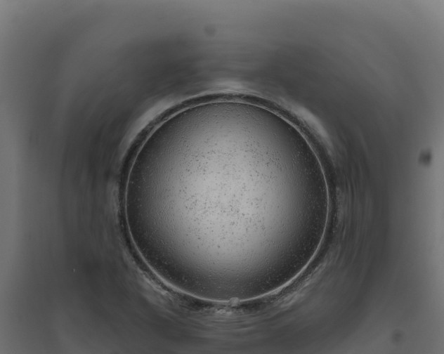 X0000094771318200711241308