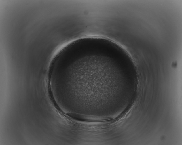 X0000094771319200711241308