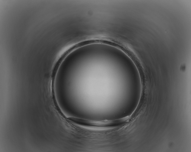 X0000094771320200711241308