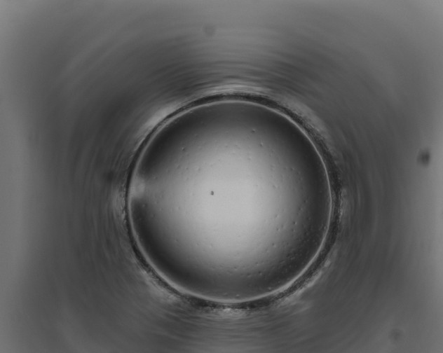 X0000094771321200711241308