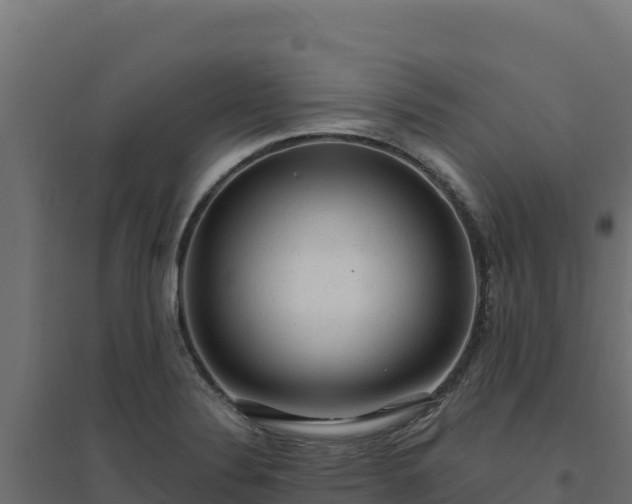 X0000094771324200711241308