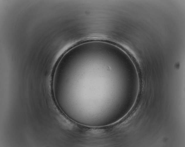 X0000094771325200711241308