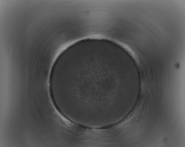 X0000094771327200711241308