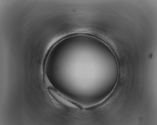 X0000094771328200711241308