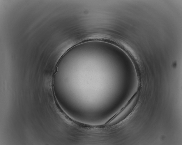 X0000094771329200711241308