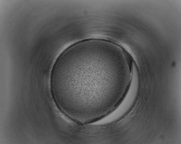 X0000094771331200711241308