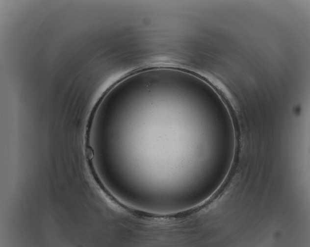 X0000094771333200711241308