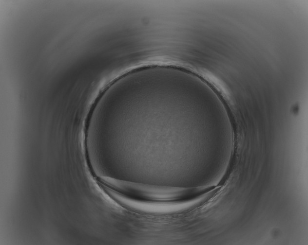 X0000094771334200711241308