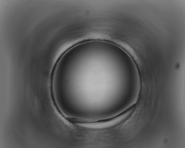 X0000094771335200711241308