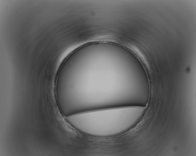 X0000094771336200711241308