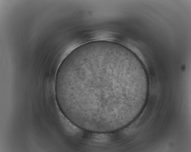 X0000094771338200711241308