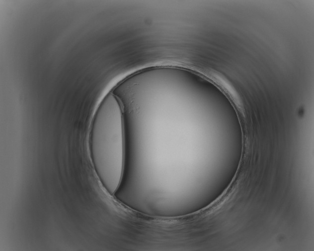 X0000094771340200711241308