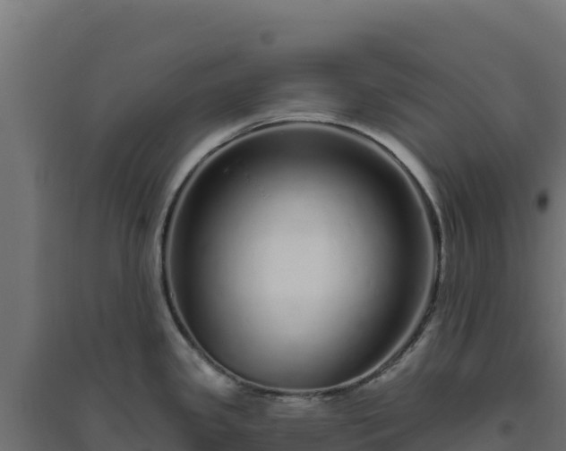 X0000094771341200711241308