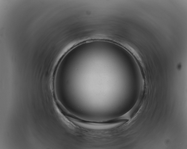 X0000094771342200711241308