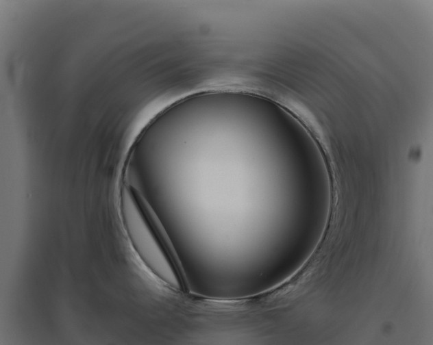 X0000094771344200711241308