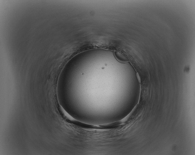 X0000094771345200711241308