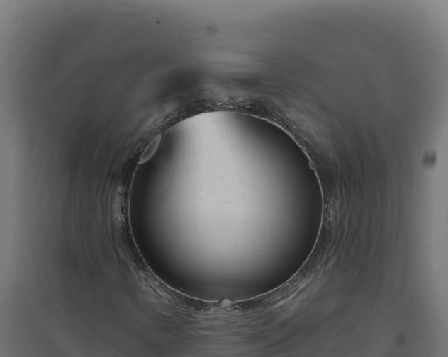 X0000094771346200711241308