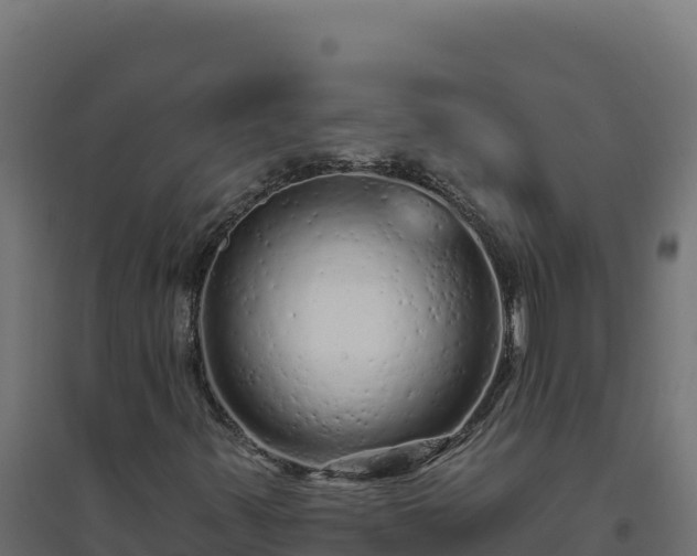 X0000094771347200711241308