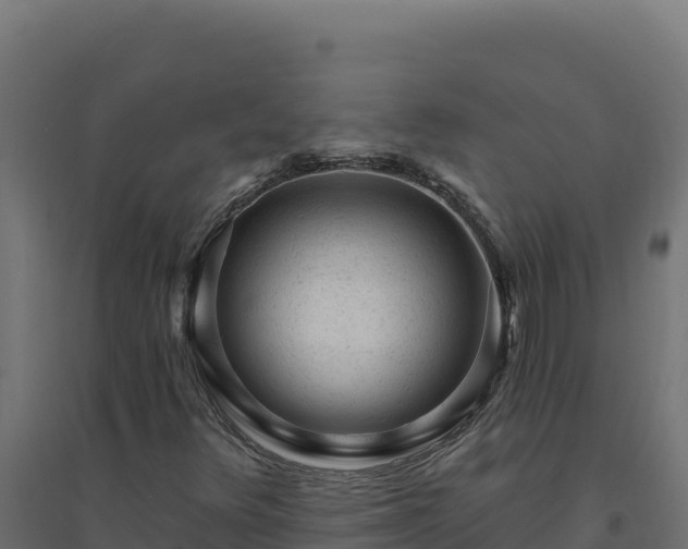 X0000094771348200711241308