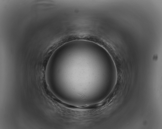 X0000094771349200711241308